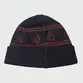Gorro Volcom Powder