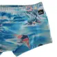 Sunga Quiksilver Mystic Boxer Juvenil Verde Claro