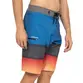 Bermuda Quiksilver Everyday Panel Stripe Azul