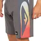 Bermuda Quiksilver Everyday Arch Holmes 20 Preto