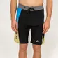 Bermuda Quiksilver Everyday Arch Holmes 20 Preto