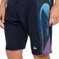 Bermuda Quiksilver Everyday Arch Holmes 20 Preto