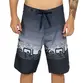 Bermuda Quiksilver Everyday Worldblock