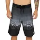 Bermuda Quiksilver Everyday Worldblock