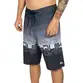 Bermuda Quiksilver Everyday Worldblock