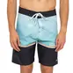 Bermuda Quiksilver Everyday Spray