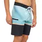 Bermuda Quiksilver Everyday Spray