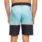 Bermuda Quiksilver Everyday Spray