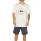 Camiseta Quiksilver Mixed Signals