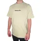 Camiseta Rip Curl Slant Bottom Sand Dune