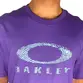 Camiseta Oakley Ellipse Fingerprint SS Tee Fluorite Purple