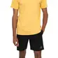 Bermuda DC Shoes Stryker Short Preto