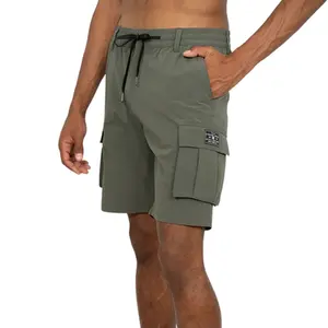 Bermuda DC Shoes The Thundra Cargo Short